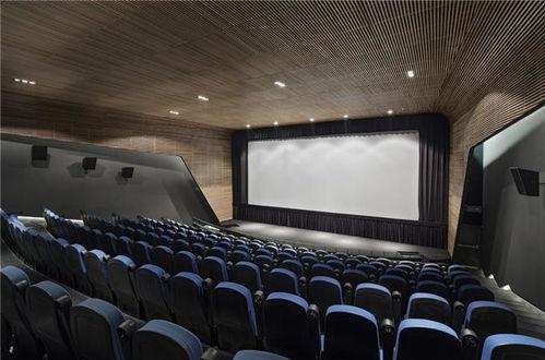 葡萄棚的电影院,光影交织的温馨记忆角落