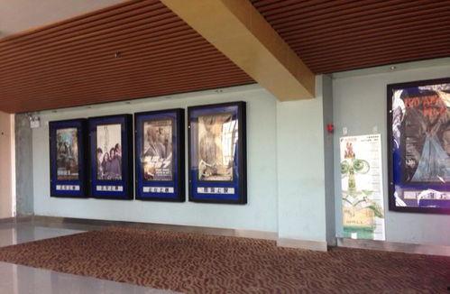 新乡几个电影院,探索本地影院魅力之旅”