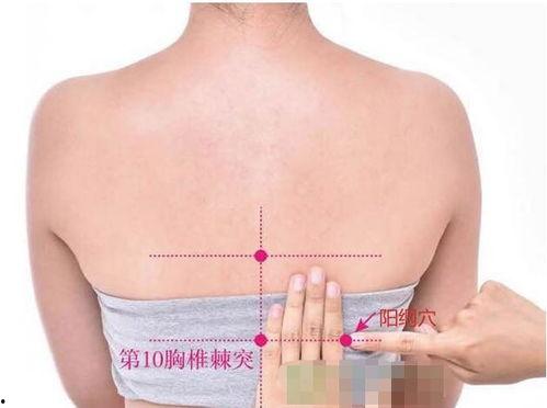 阳穴影院,揭秘光影世界中的神秘力量