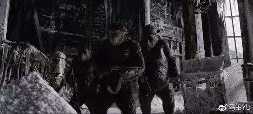 鬼叫春1972不卡影院,惊悚悬疑，不卡影院独家呈现