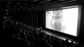 dv2030电影院,未来观影体验的革新之旅