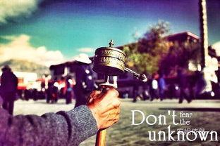 佛系天堂影院,心灵栖息的宁静港湾