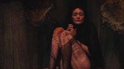 屠夫影院1,惊悚悬疑，人性深渊的探索之旅